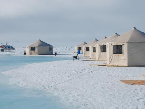 “Arctic Kingdom arctic safaris”