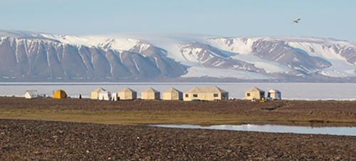 “Arctic Kingdom arctic safaris”